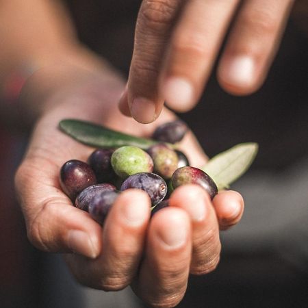 הוילה טנו Agritur Calvola מראה חיצוני תמונה